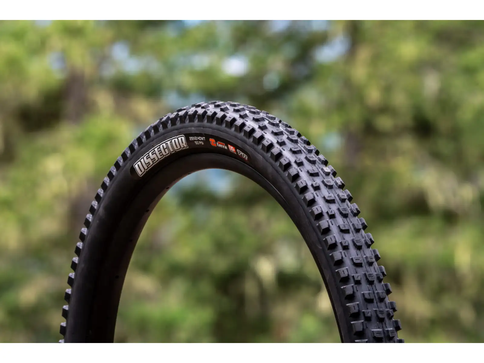Maxxis Dissector G2 MaxxTerra/Exo+/TR 29x2,40" opona MTB kevlarowa