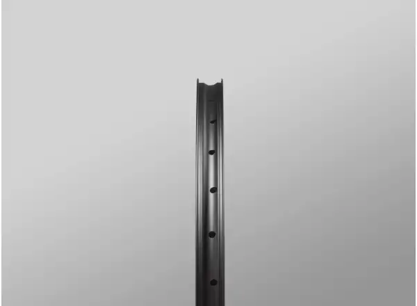 Reserve 30/SL AL6069 DT 350 29" zaplecione koła bębenek Microspline