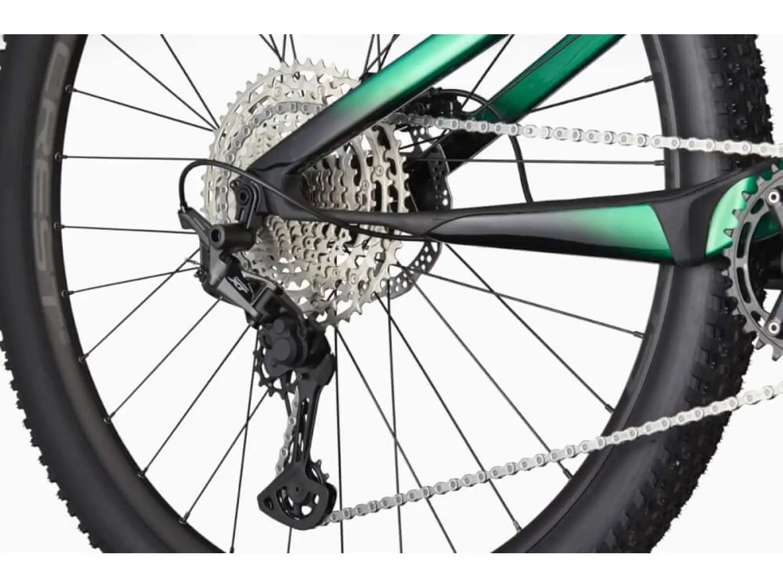 Cannondale Scalpel Carbon 4 rower górski Jungle Green