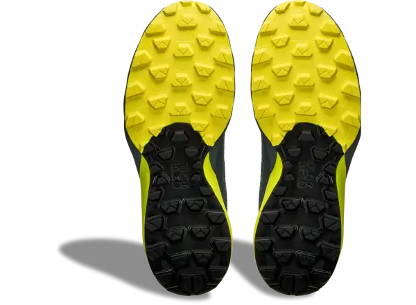 Dynafit Ultra GTX męskie buty do biegania Hurricane/Black Out