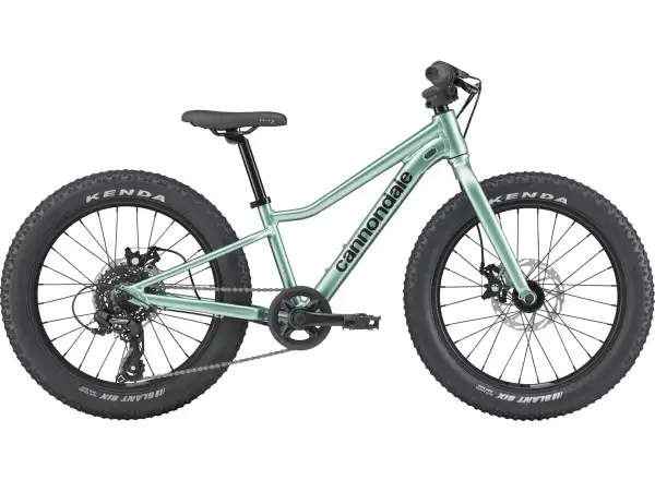 Cannondale Kids Trail Plus 20 rower dziecięcy Cactus Green
