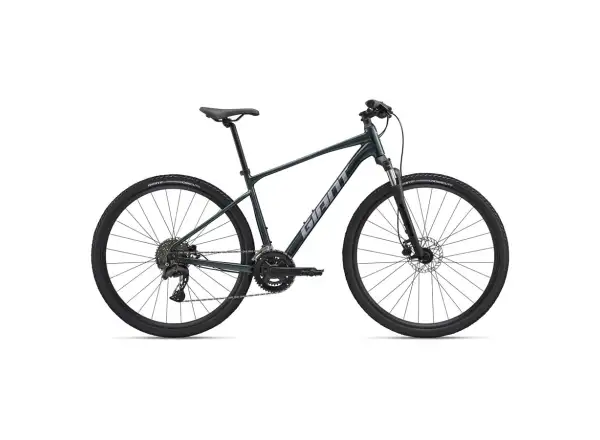 Giant Roam 2 Asphalt rower trekkingowy Green
