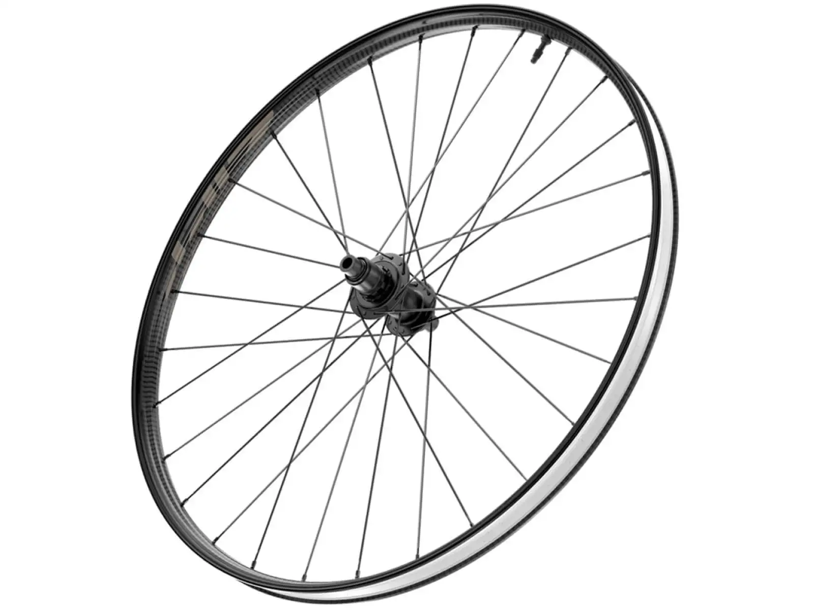 Zipp 101 XPLR Carbon Disc TL CL 12x142 mm tylne koło Kwiqsand