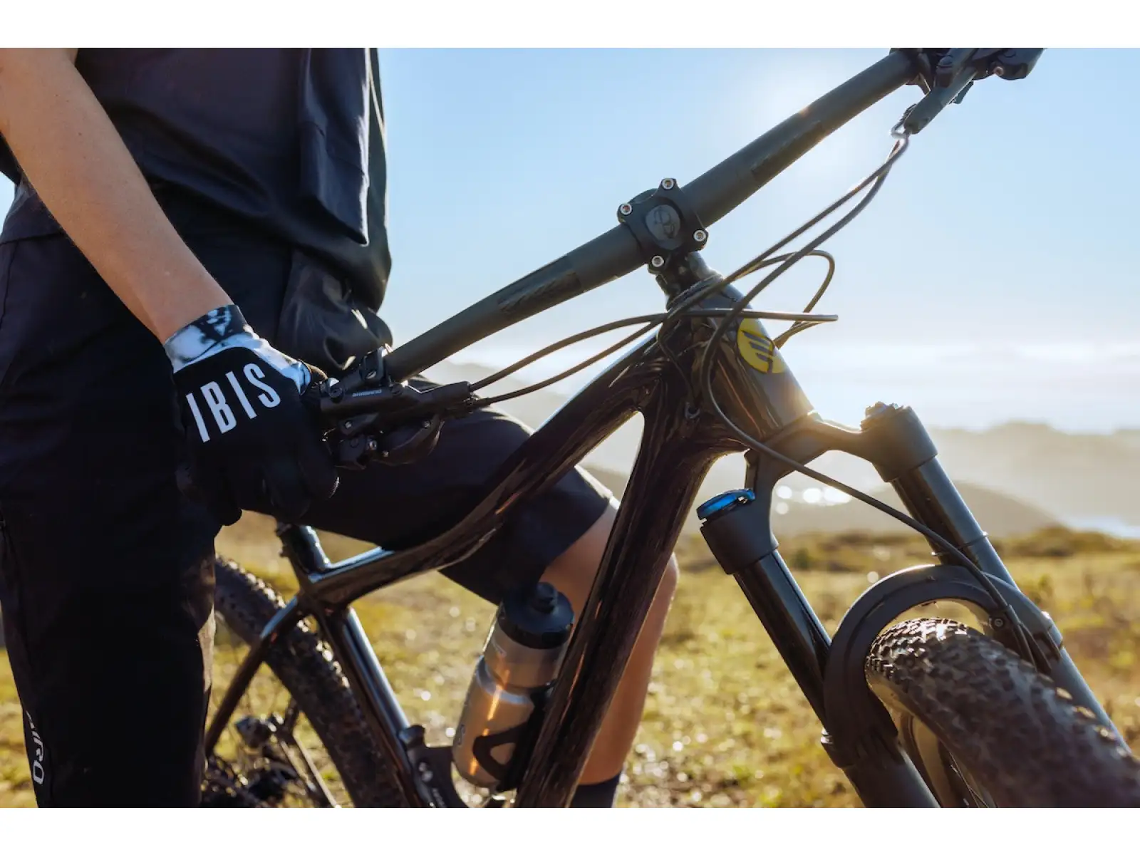IBIS DV9 frame set Muddy Waters