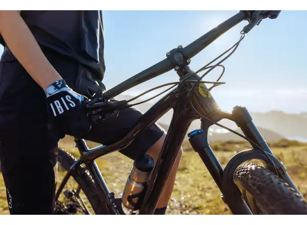 IBIS DV9 frame set Muddy Waters