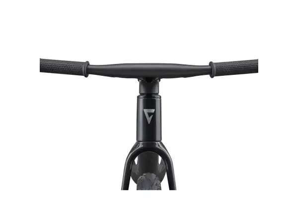 Giant PRE RCARBON PUSH BIKE rowerek biegowy dziecięcy