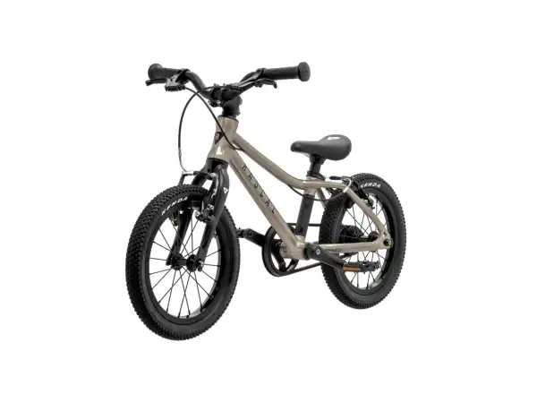 Rascal 14 rower dziecięcy Titanium