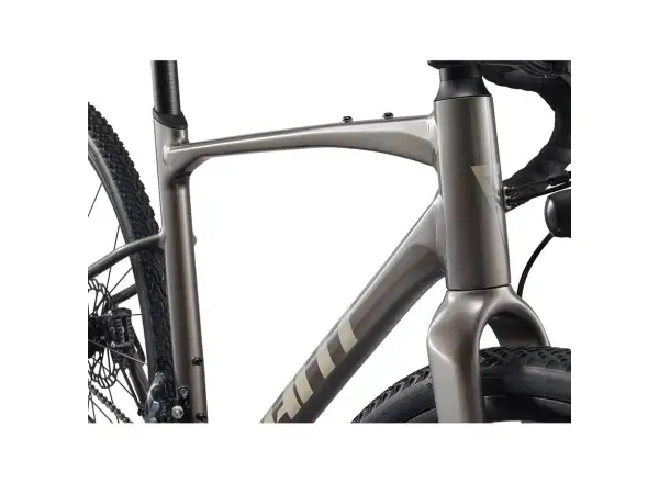 Giant Revolt 1 gravel rower Metal