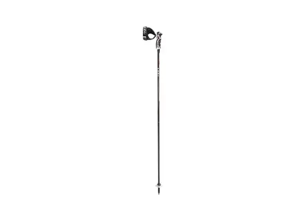 Leki Carbon 14 S kijki narciarskie black/white/red/anthracite