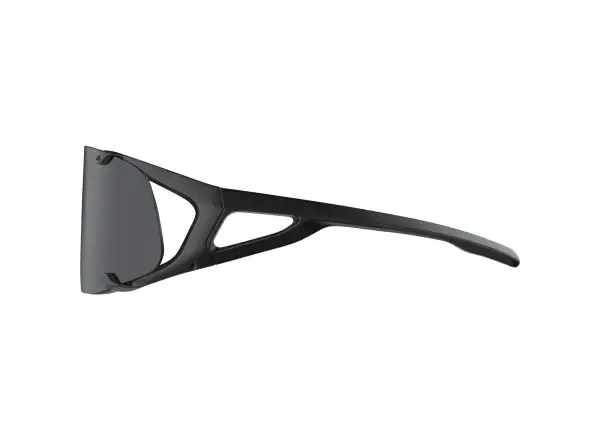 Alpina Hawkeye okulary All Black Matt