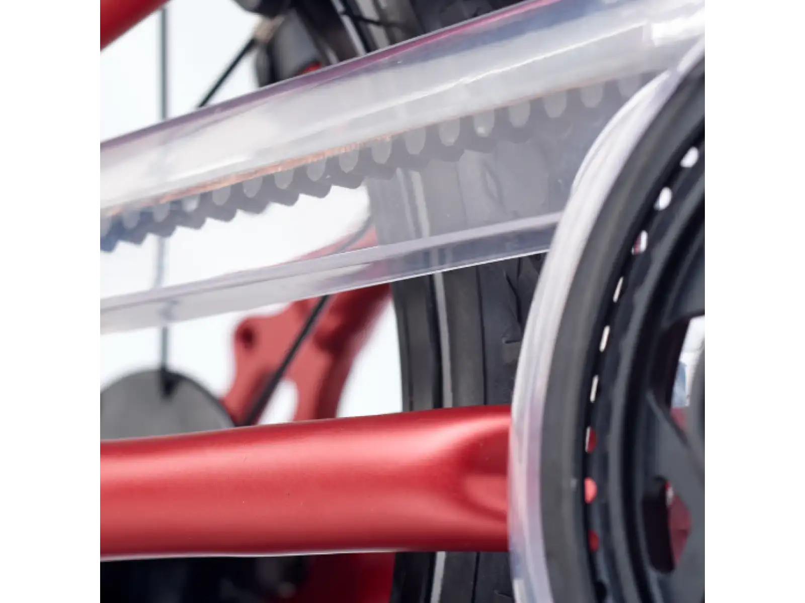 Academy Grade 2 Belt rower dziecięcy 14" czerwony