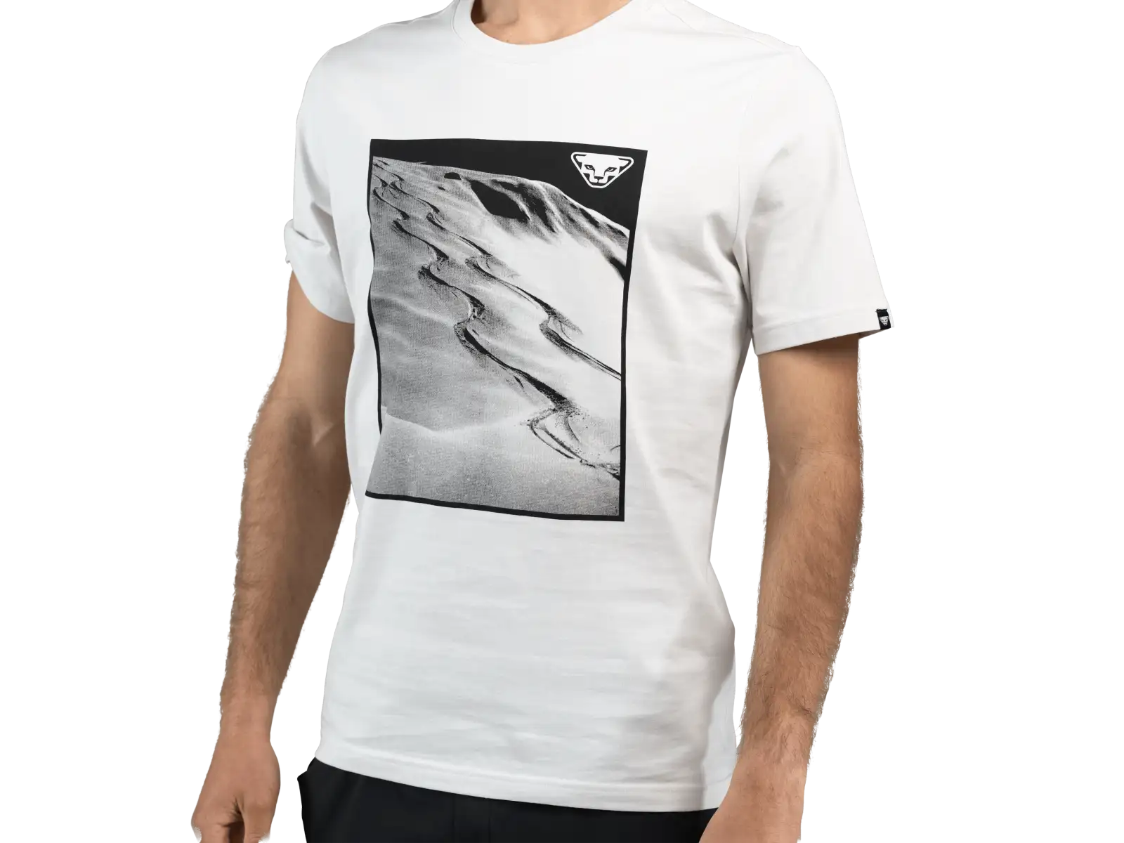 Dynafit Graphic Cotton męska koszulka krótki rękaw Nimbus/First Track