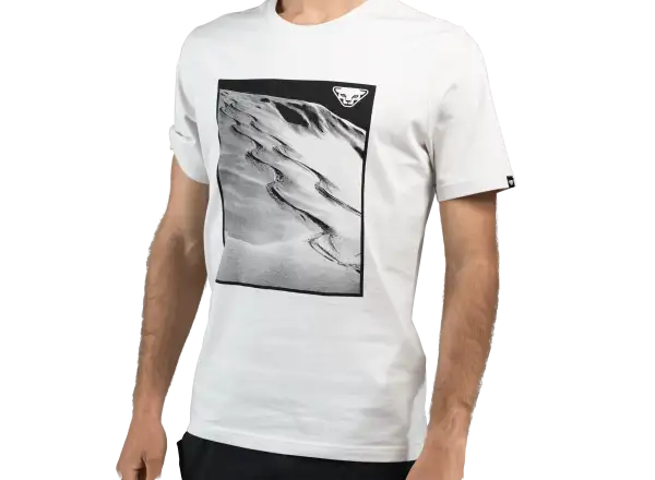 Dynafit Graphic Cotton męska koszulka krótki rękaw Nimbus/First Track