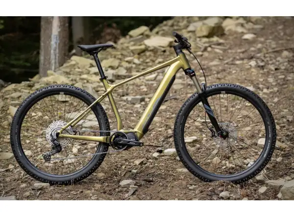 Superior eXP 8089 górski rower elektryczny Matte Olive Metallic/Chrome Silver