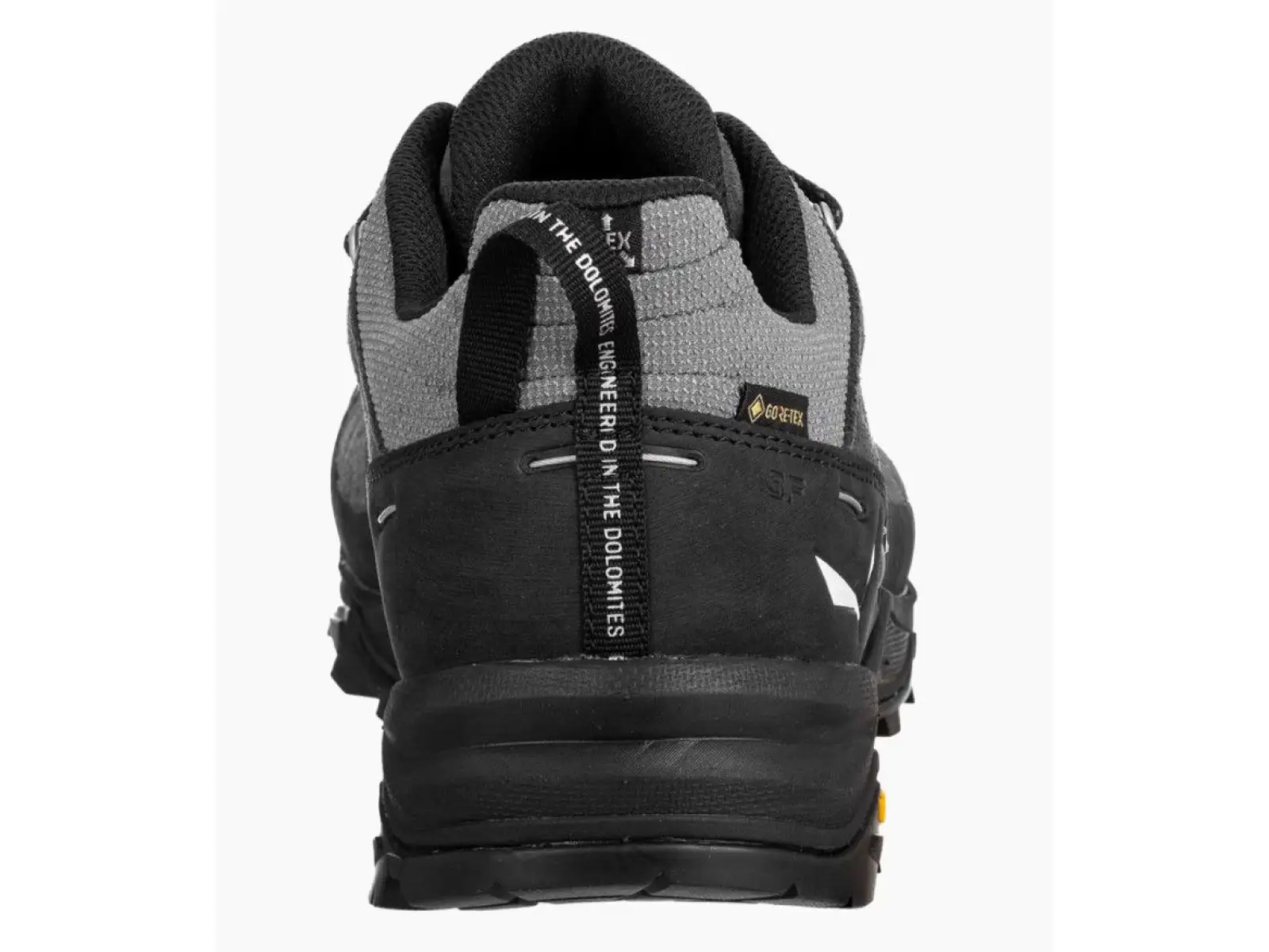 Salewa Alp Trainer 2 GTX męskie buty Onyx Black