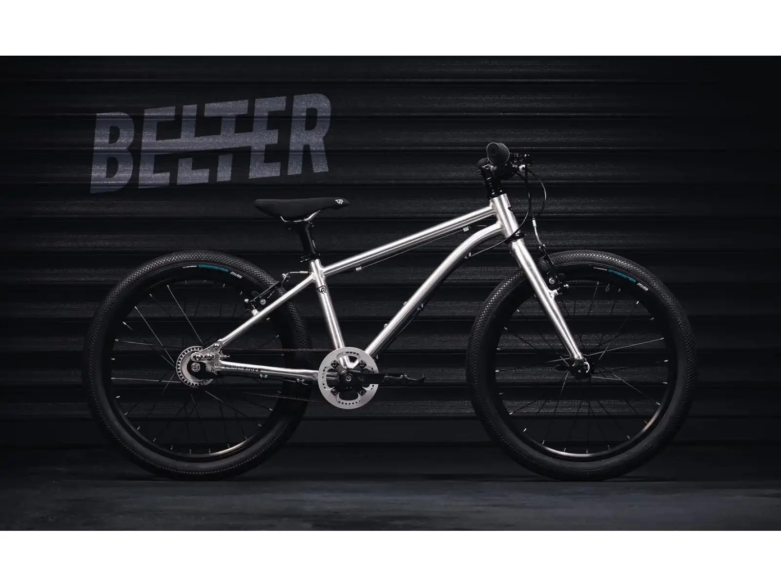 Early Rider Belter 20 rower dziecięcy Brushed Aluminium