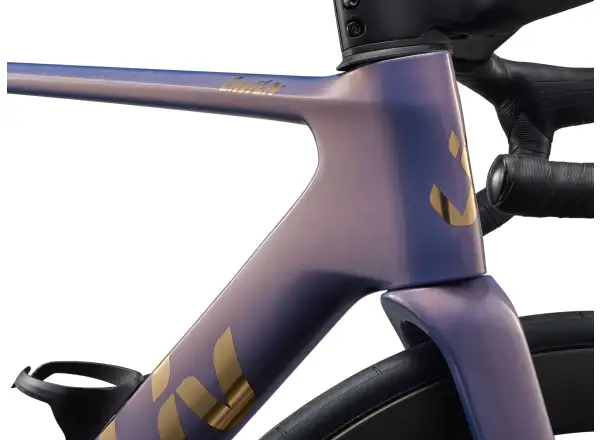 Liv EnviLiv Advanced Pro 0-Di2 rower szosowy Ember Violet