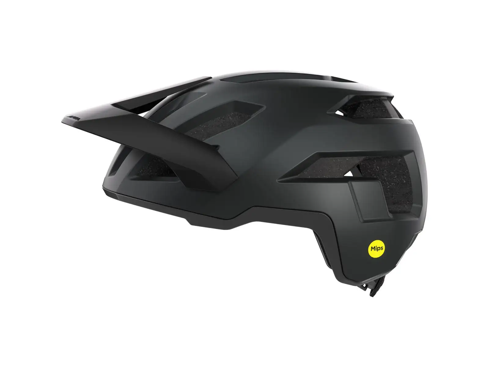 Alpina Taunus Mips kask Black Matt