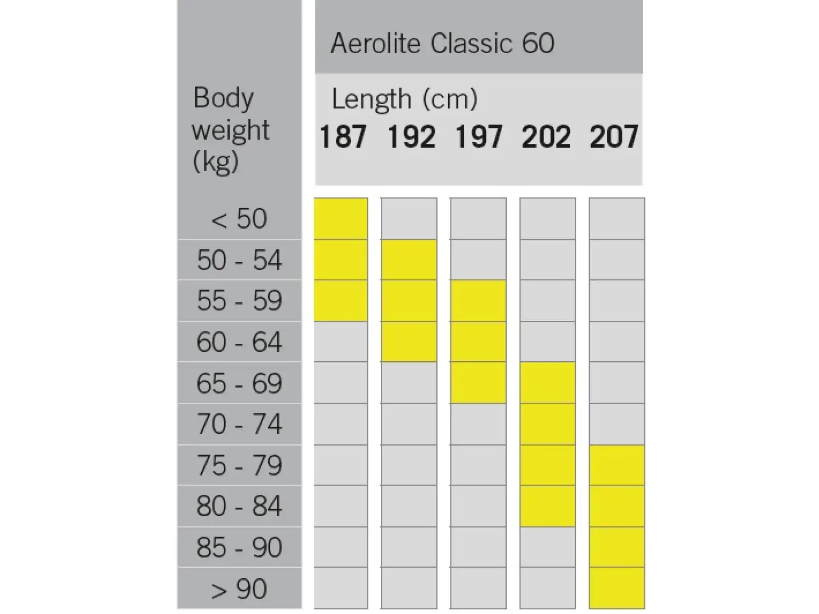 Fischer Aerolite Classic 60 narty biegowe + wiązania Control Step