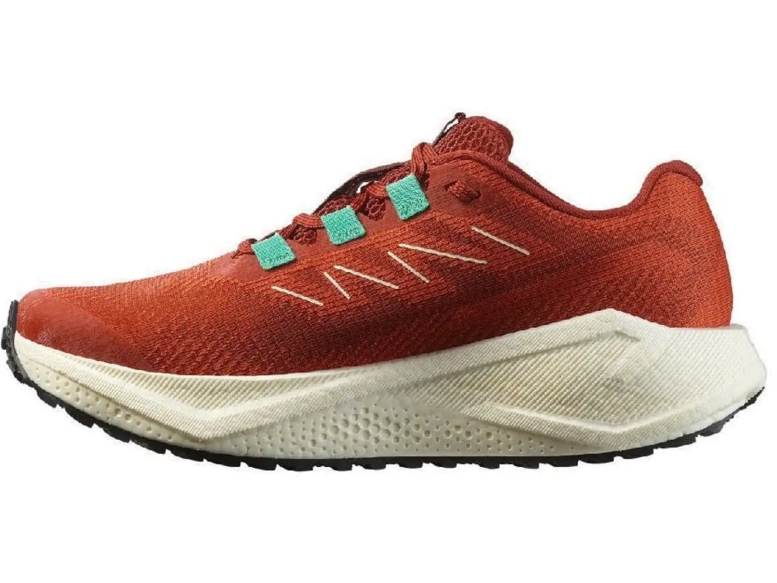 Salomon Aero Blaze 3 GRVL W damskie buty do biegania Burnt Ochre/Vanilla Ice/Vanilla Ice