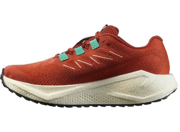 Salomon Aero Blaze 3 GRVL W damskie buty do biegania Burnt Ochre/Vanilla Ice/Vanilla Ice