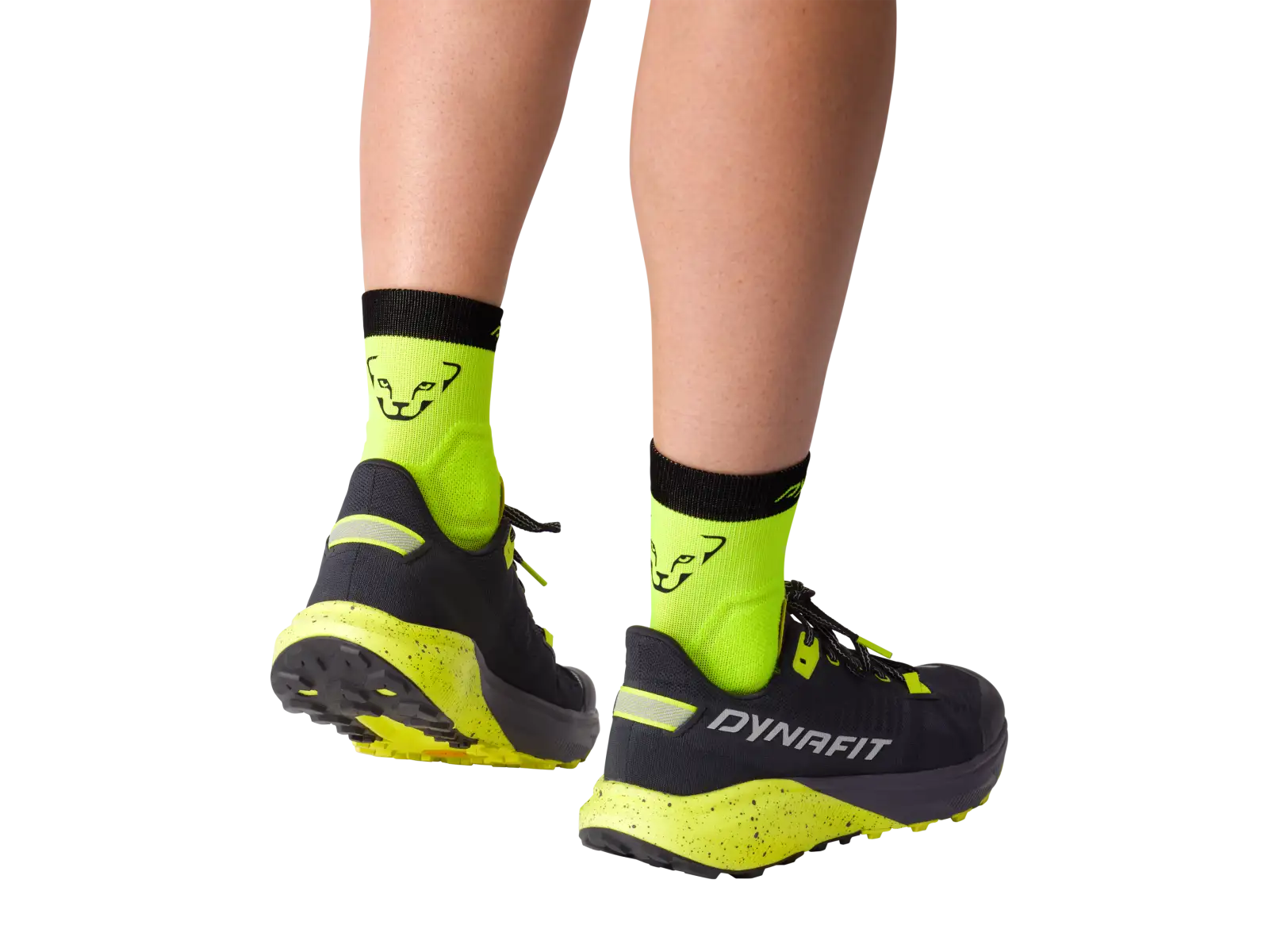 Dynafit Alpine Short krótkie skarpety do biegania Storm Blue