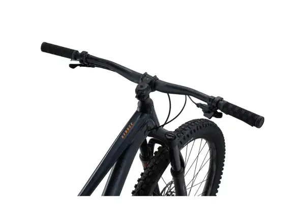 Giant Stance 29 1 rower full suspension Metallic Black