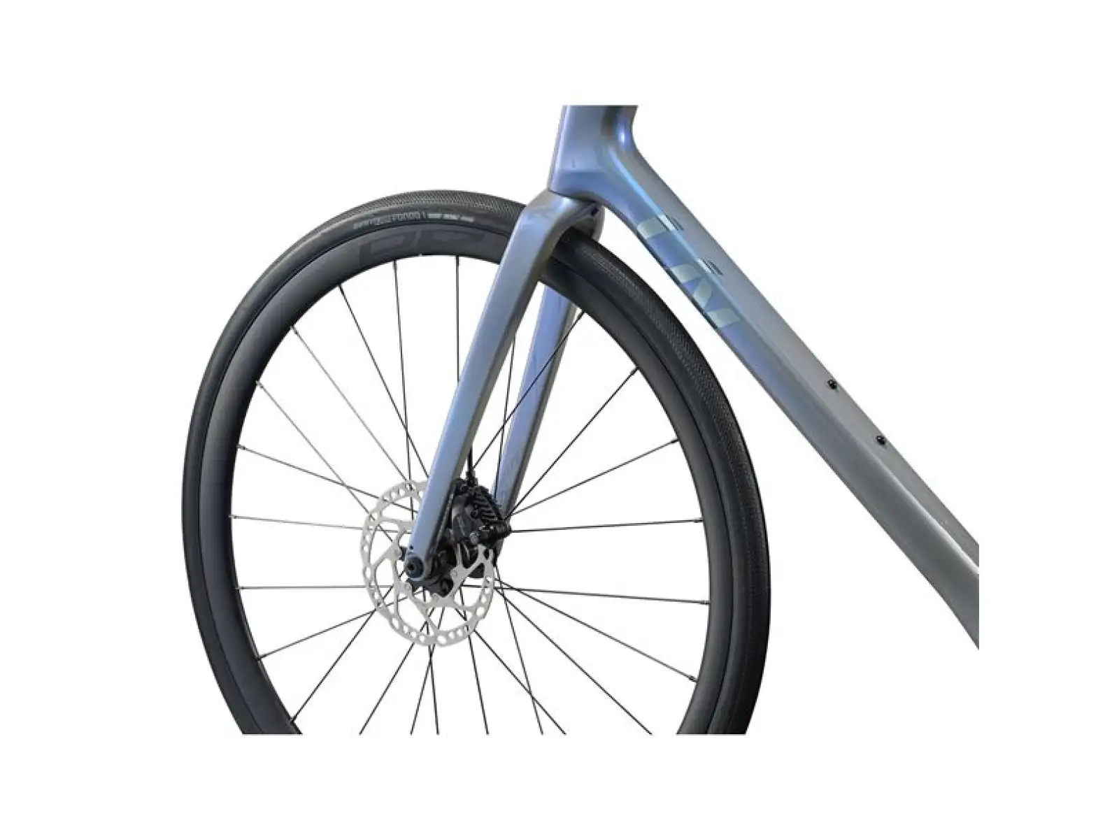 Liv Avail Advanced 2 rower szosowy Moonstone/Gray