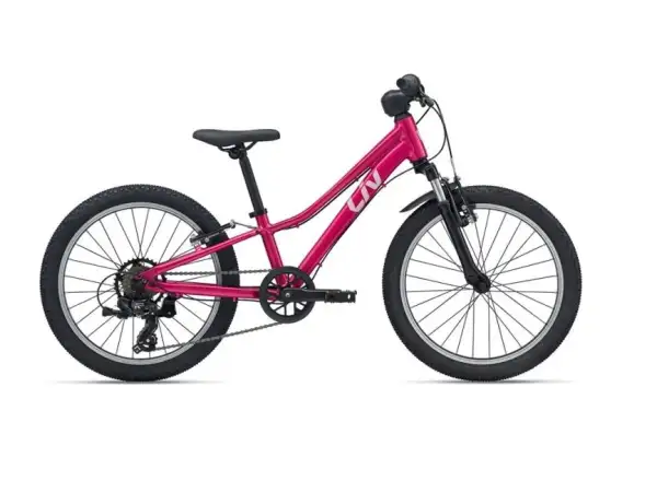 Giant Tempt 20 dziecięcy rower górski Virtual Pink