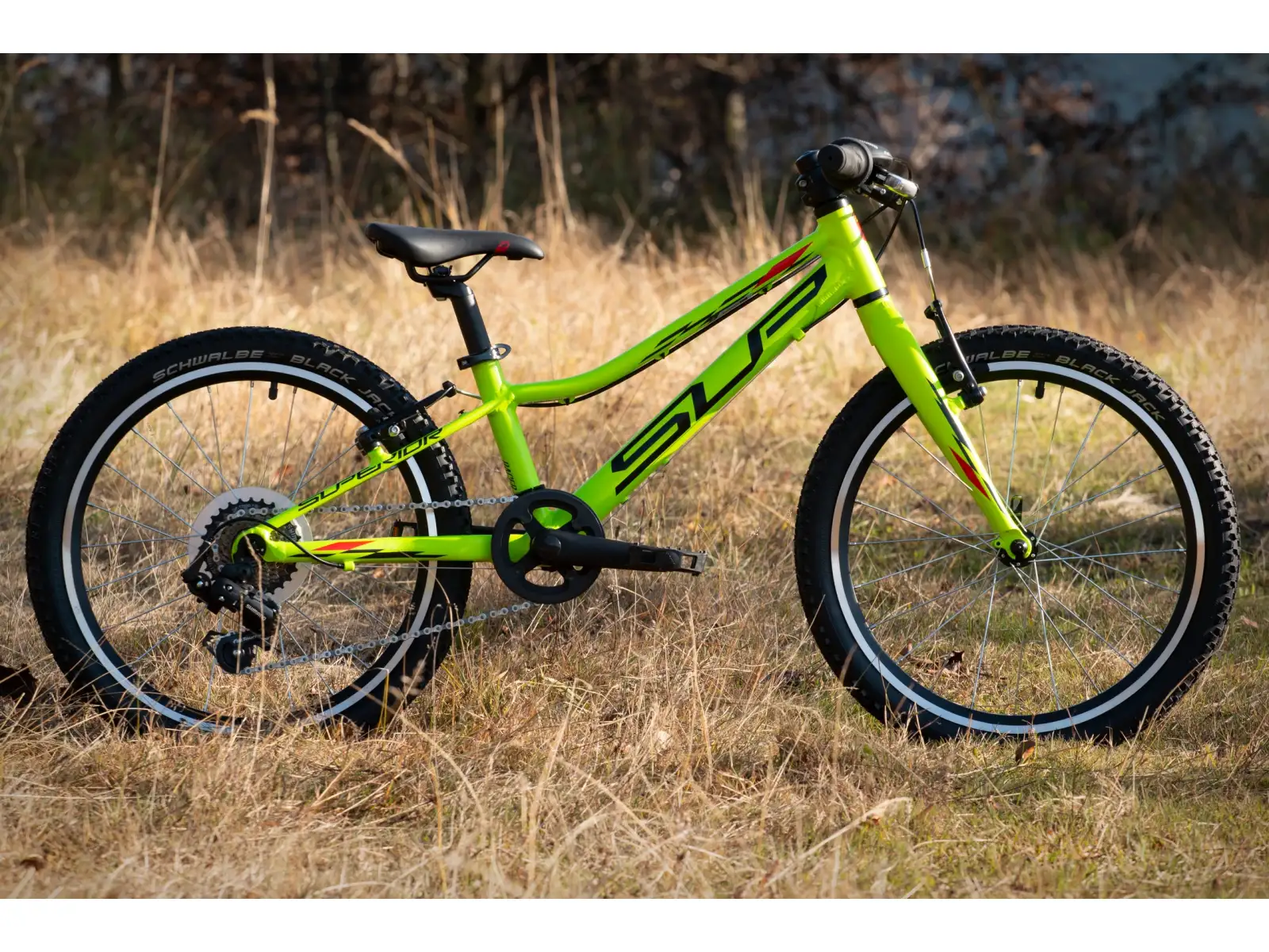 Superior Racer XC 20 dziecięcy rower górski Matte Lime