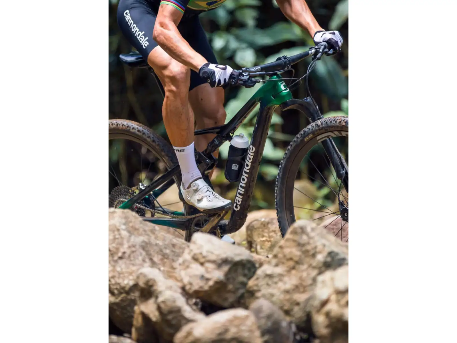 Cannondale Scalpel Carbon 4 rower górski Jungle Green