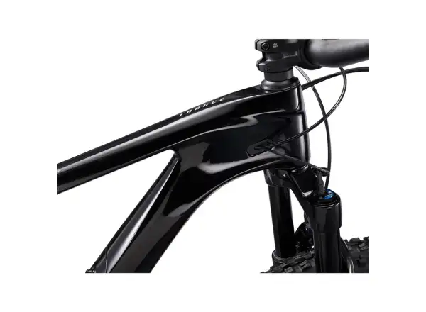 Giant Trance Advanced Pro 29 1 rower górski carbon/black diamond