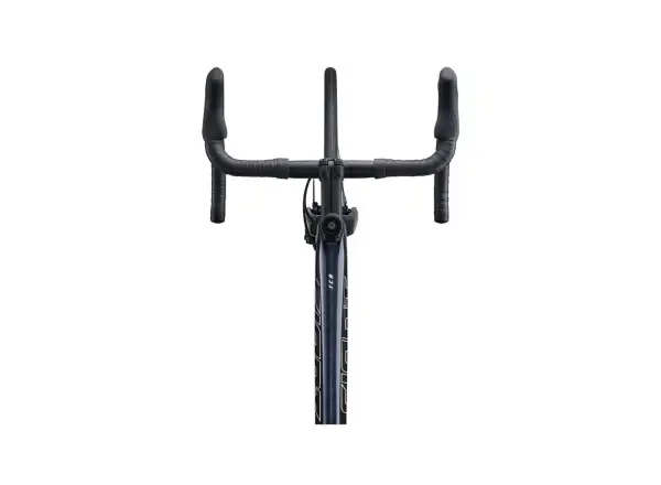 Giant TCR Advanced 1+ Disc-PC rower szosowy cold night