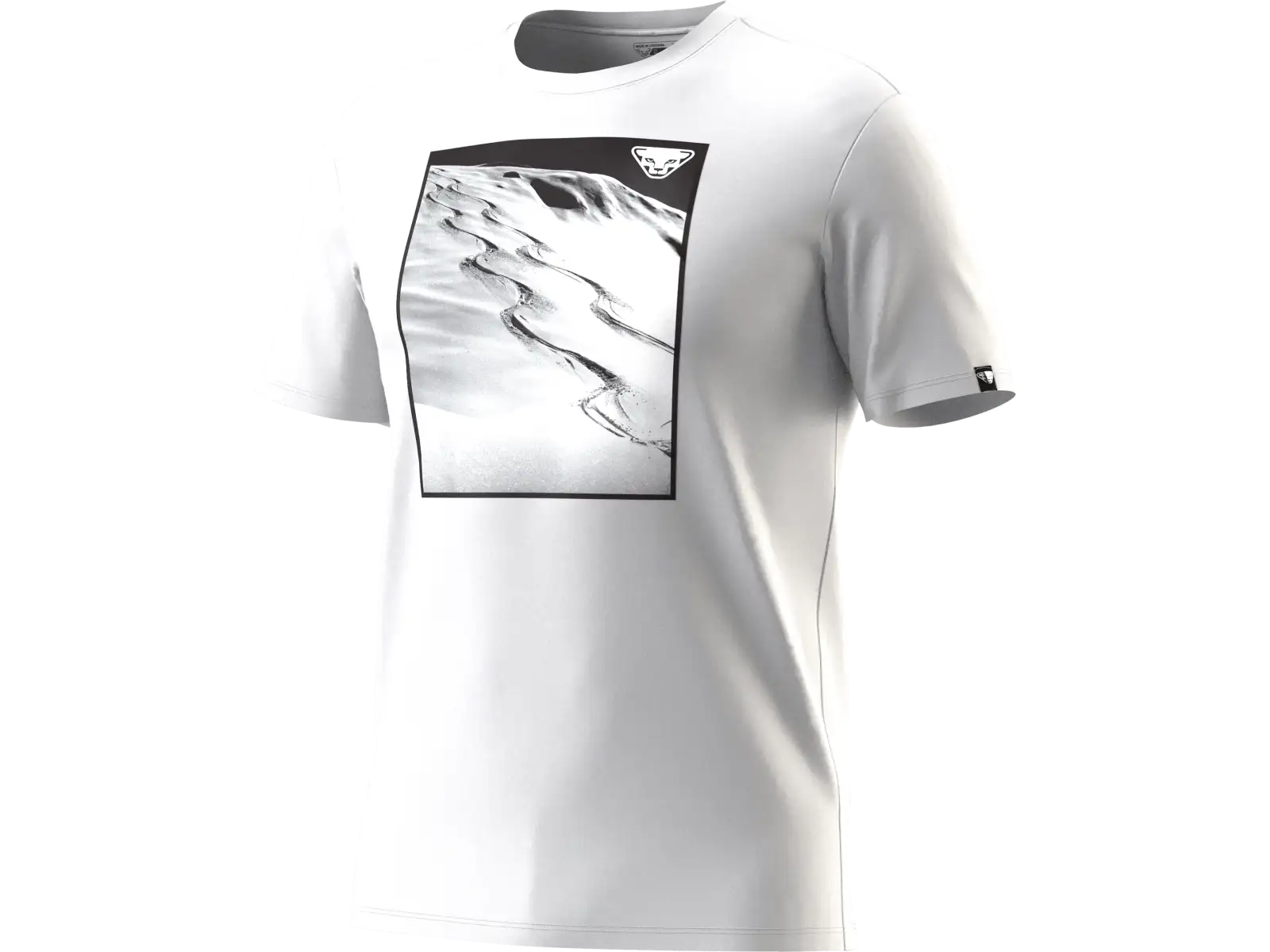 Dynafit Graphic Cotton męska koszulka krótki rękaw Smoke Blue/Tabloid