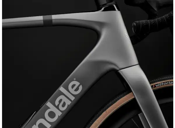 Cannondale Synapse Carbon 2 rower szosowy Grey (GRY)