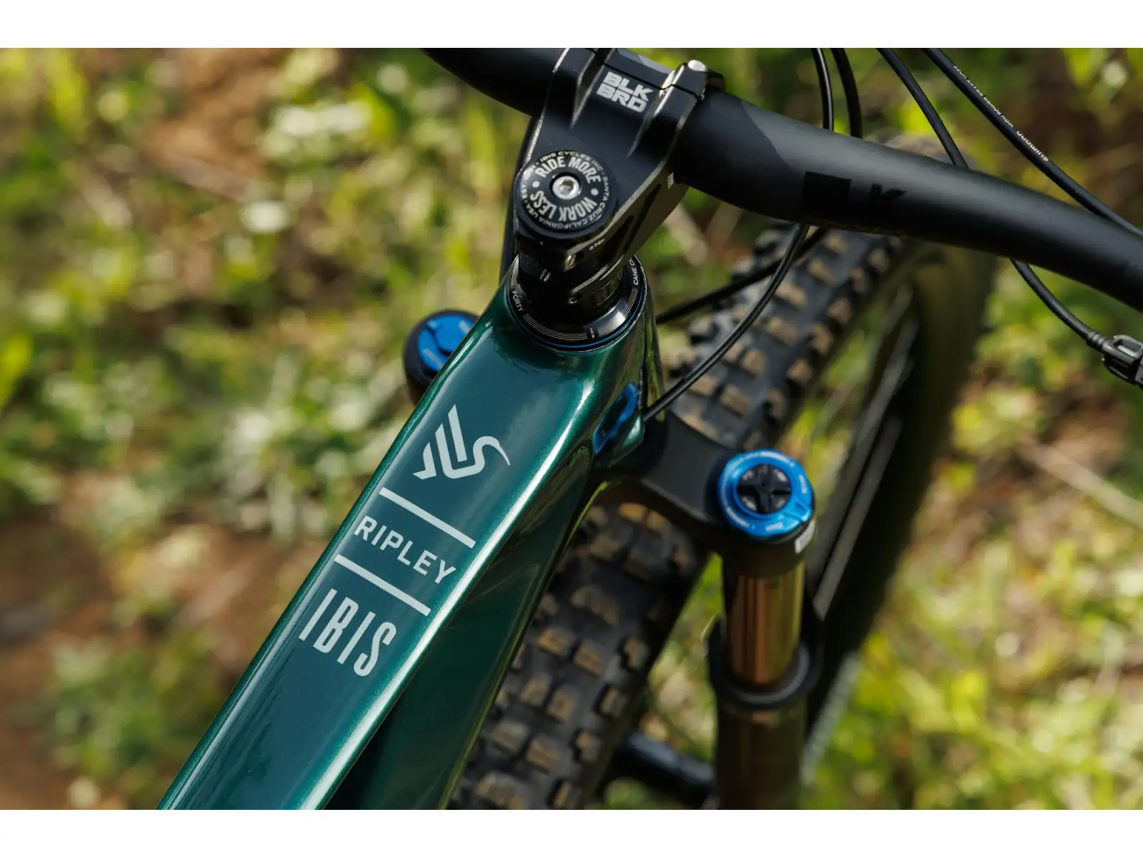 Ibis Ripley V5 zestaw ram Green Flash