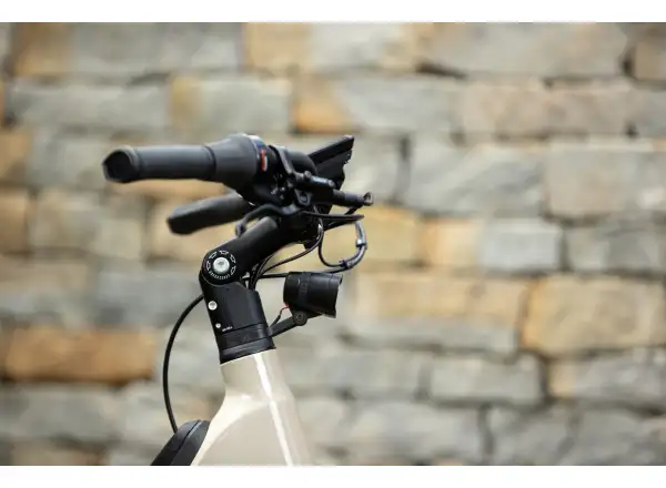 Superior eWAY 6.45 miejskie rower elektryczny Gloss Dust
