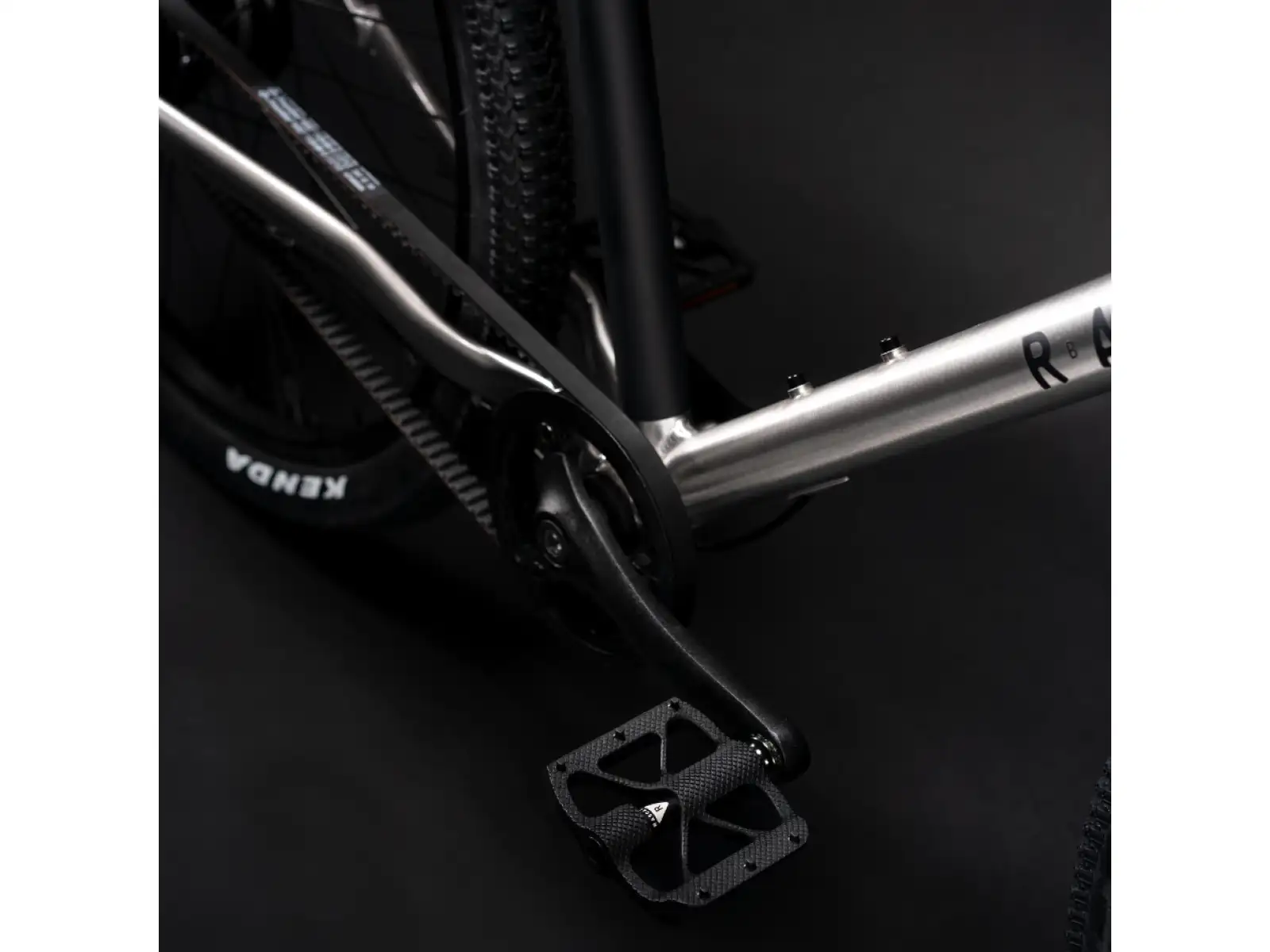 Rascal 24 3 sp. Shimano Nexus rower dziecięcy Titan