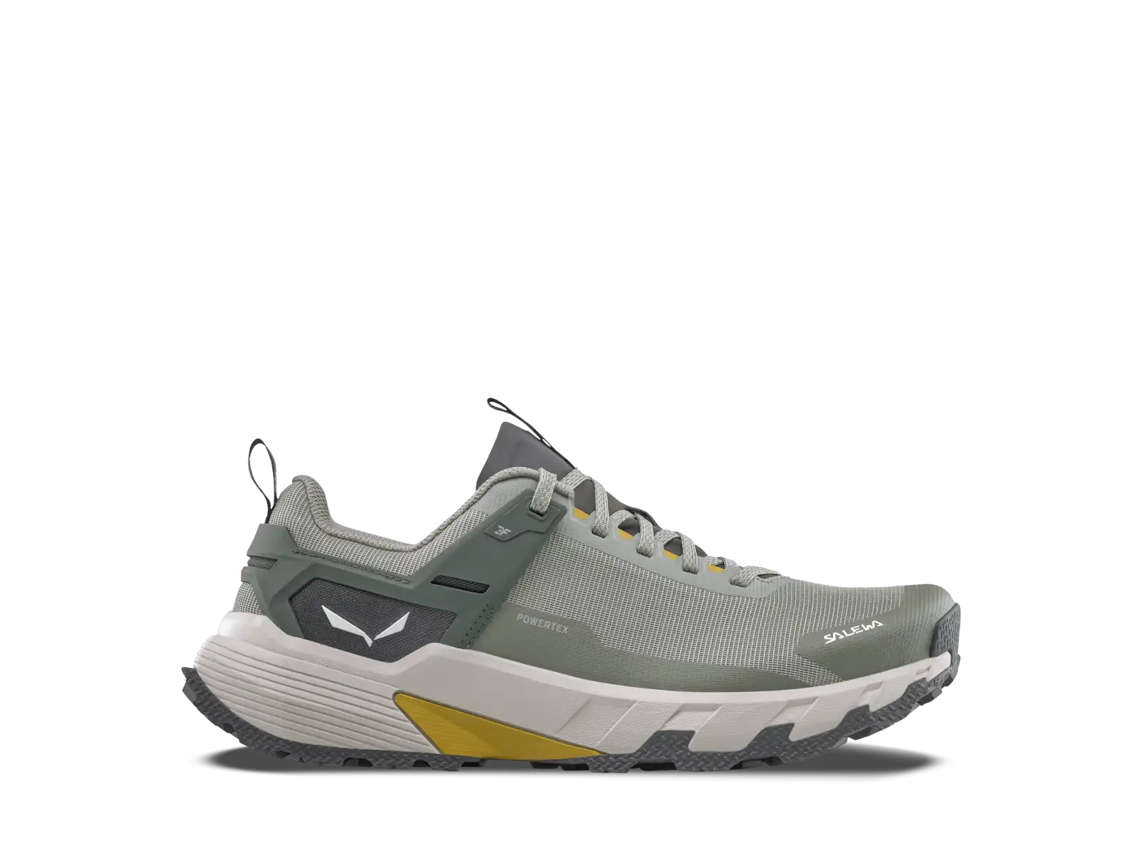 Salewa Pedroc 2 PTX męskie buty turystyczne Shadow/Faded Green