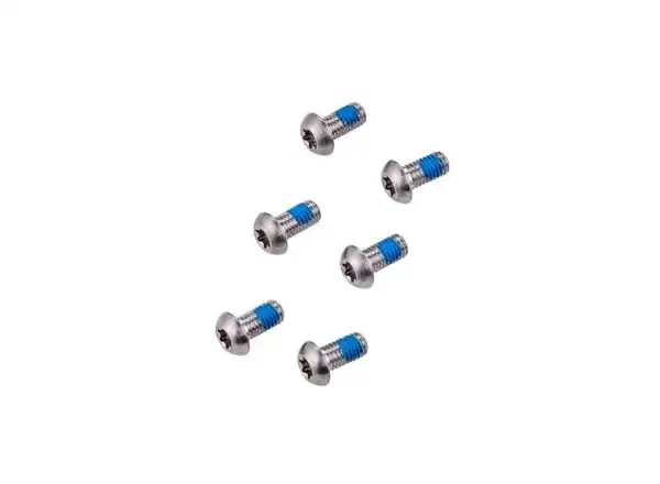 Sram Rotor Bolt Kit tytanowe śruby tarczy hamulcowej