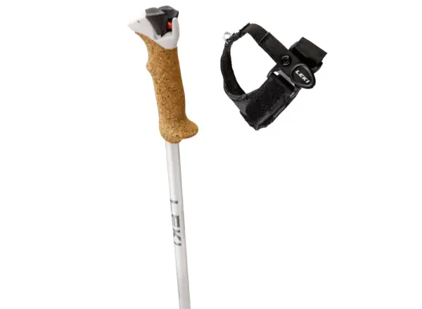 Leki Stella S kijki zjazdowe White/Silver/Whitegold