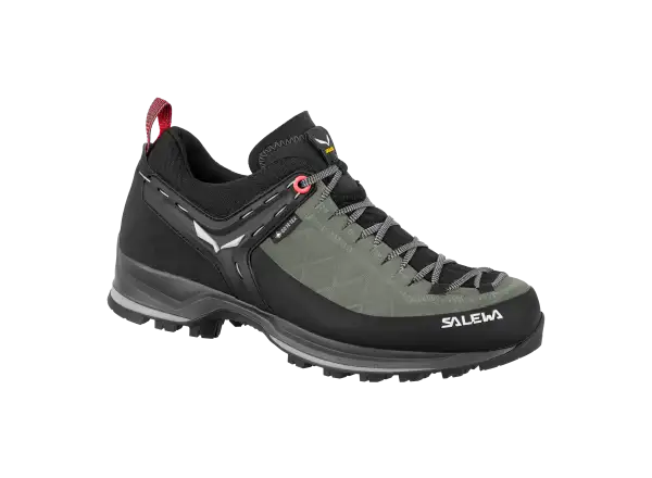 Salewa Mountain Trainer 2 GTX damskie buty trekkingowe Shadow/Black