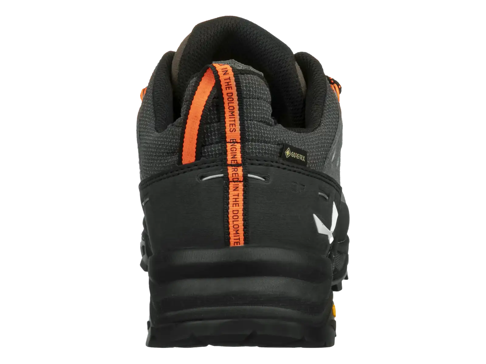 Salewa Alp Trainer 2 GTX męskie buty Bungee Cord/Black