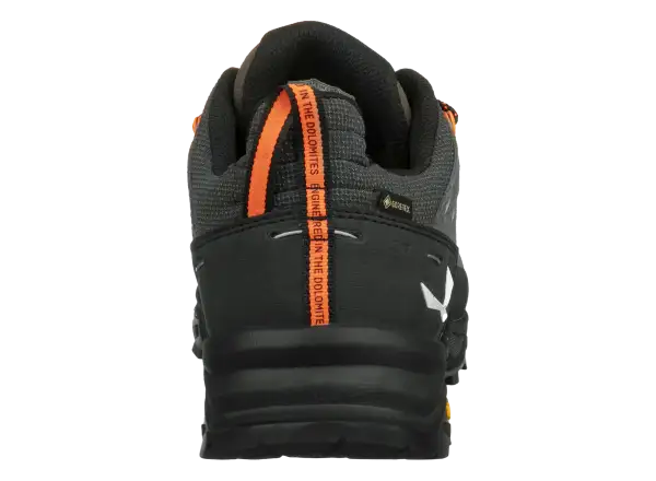 Salewa Alp Trainer 2 GTX męskie buty Bungee Cord/Black