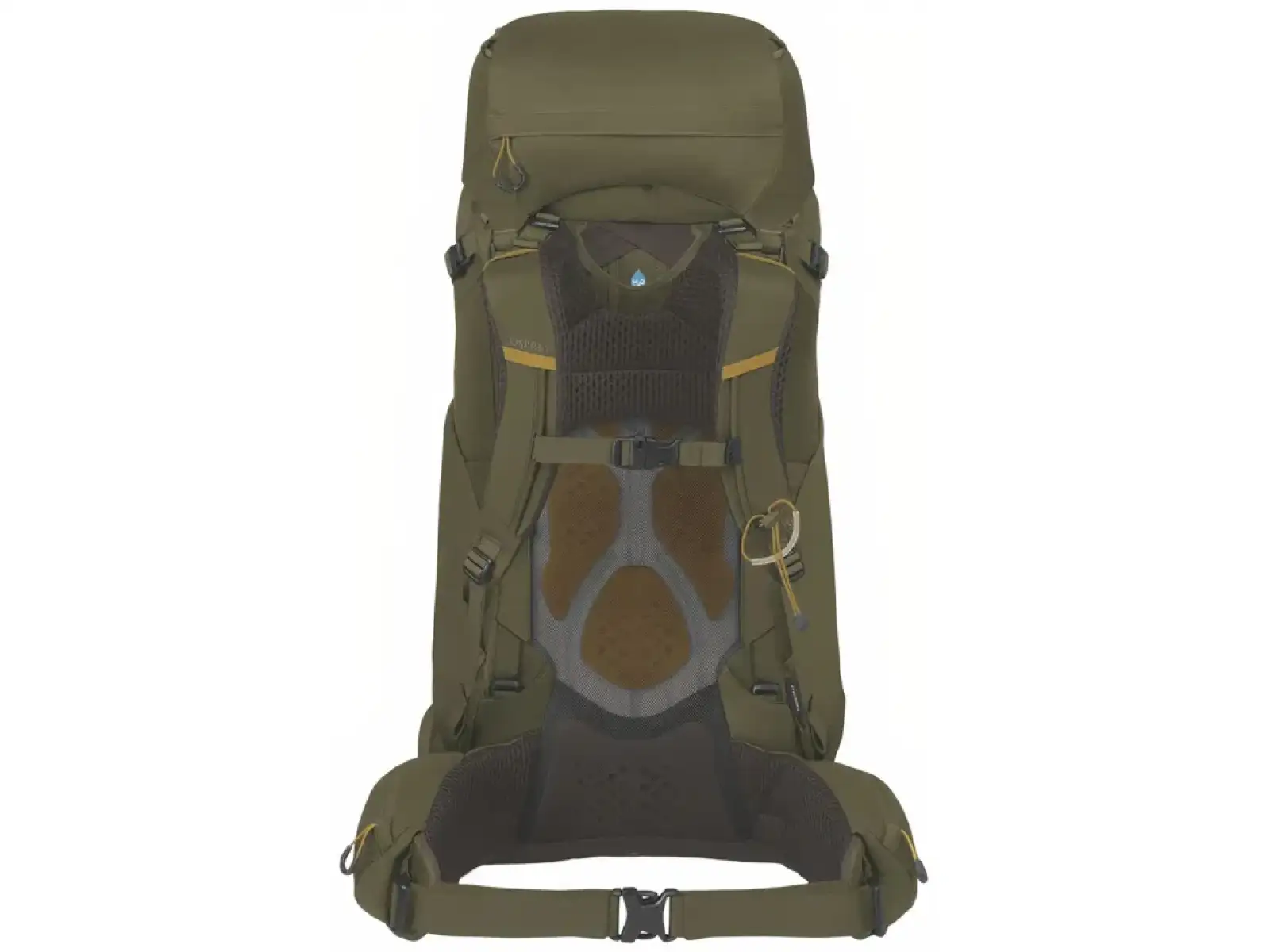 Osprey KESTREL 58 plecak Moss green L/XL