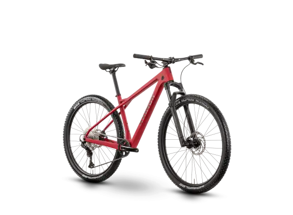 Raymon Arid Pro 29" rower górski Carmine Red Matt