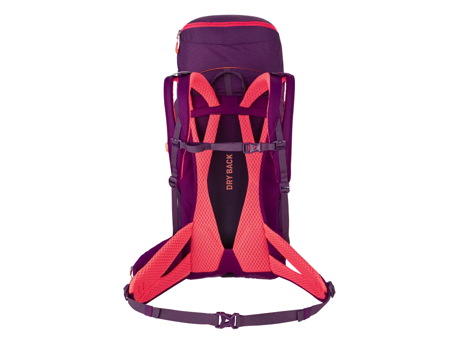 Salewa Alp Trainer 30+3 l damski plecak Black Out