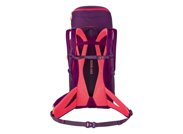 Salewa Alp Trainer 30+3 l damski plecak Black Out