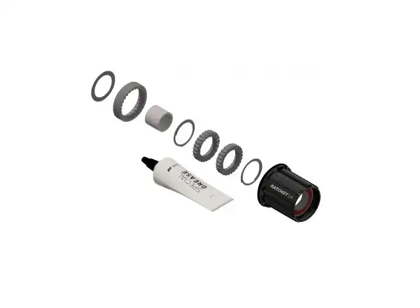 DT SWISS KIT Shimano HG stal - zestaw przebudowy piast 3pawls na Ratchet LN