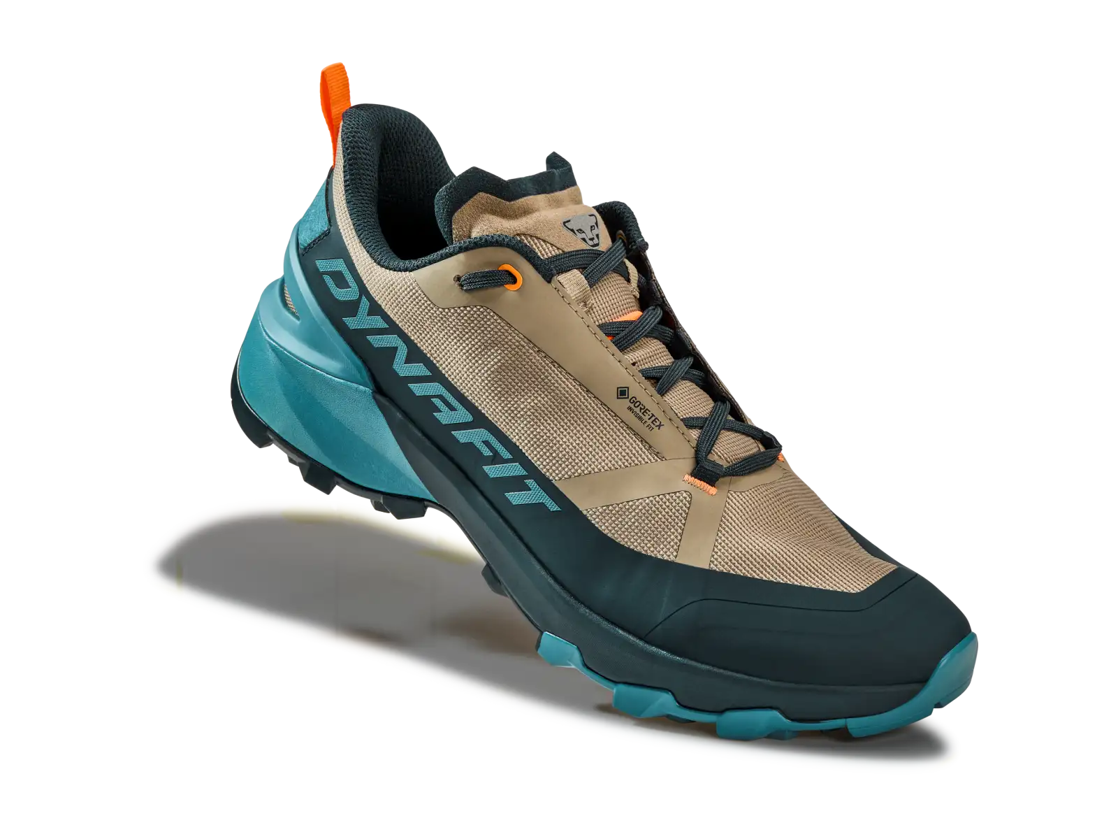 Dynafit Transalper 2 GTX męskie buty do biegania Blueberry/Fallen Rock